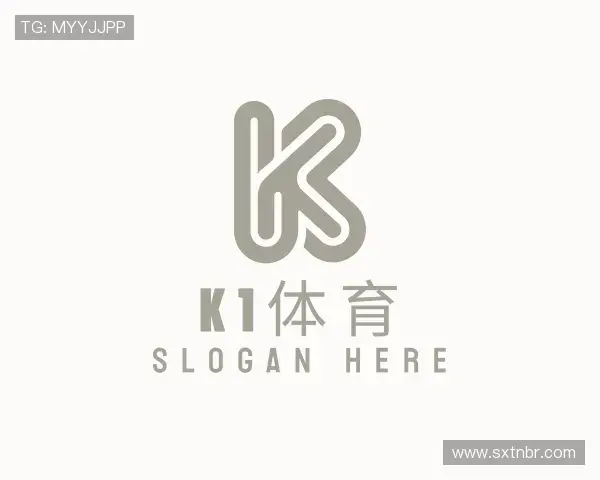 介绍K1体育官网